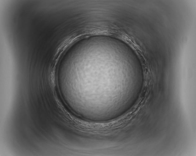 X0000116600002200912181155