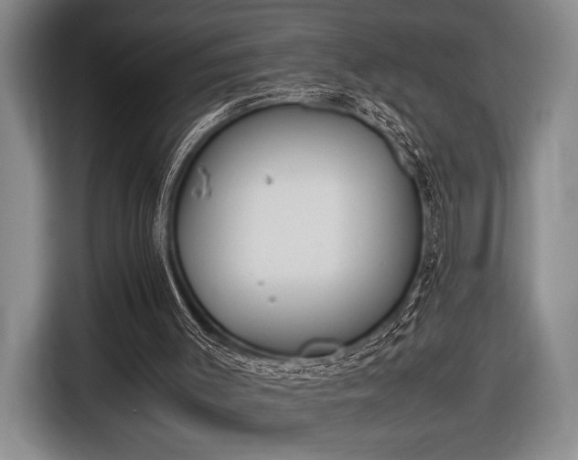X0000116600003200912181155