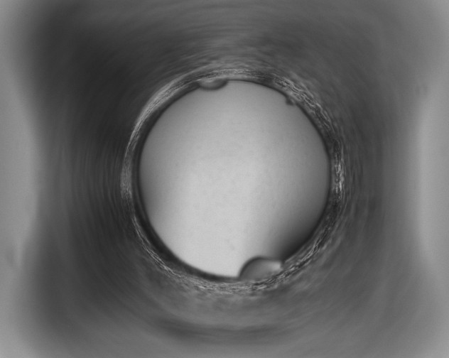 X0000116600004200912181155