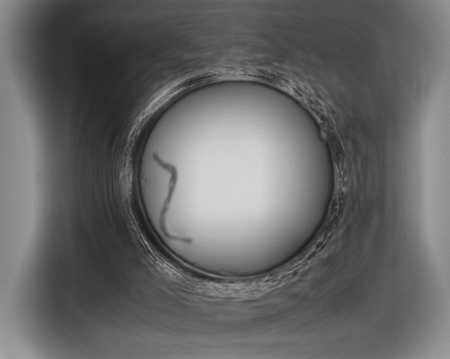 X0000116600005200912181155