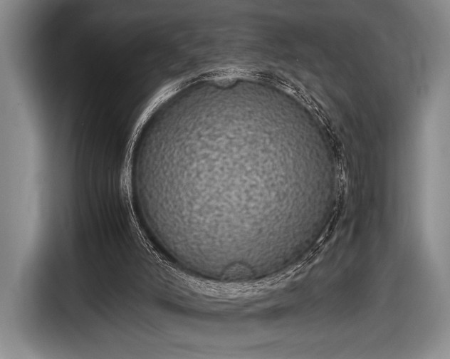 X0000116600006200912181155