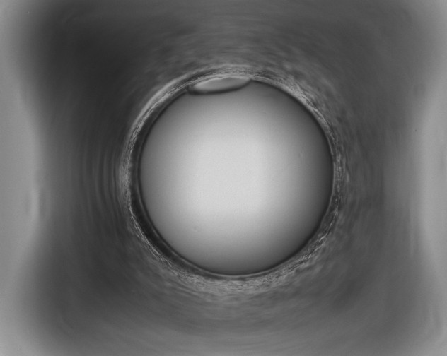 X0000116600007200912181155