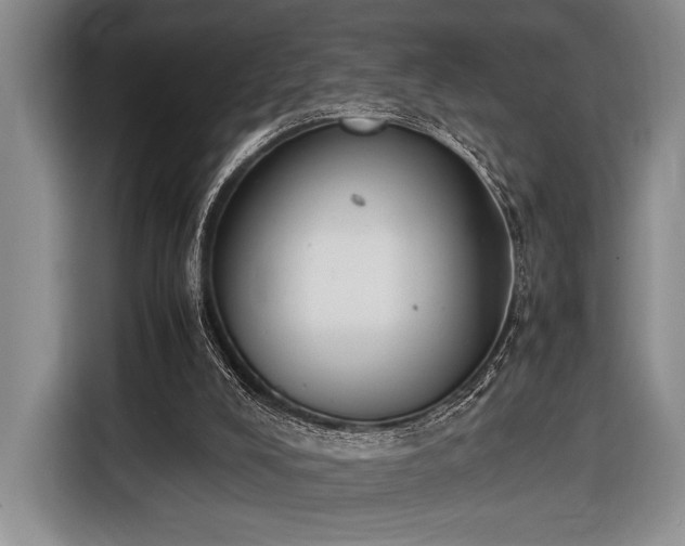 X0000116600008200912181155