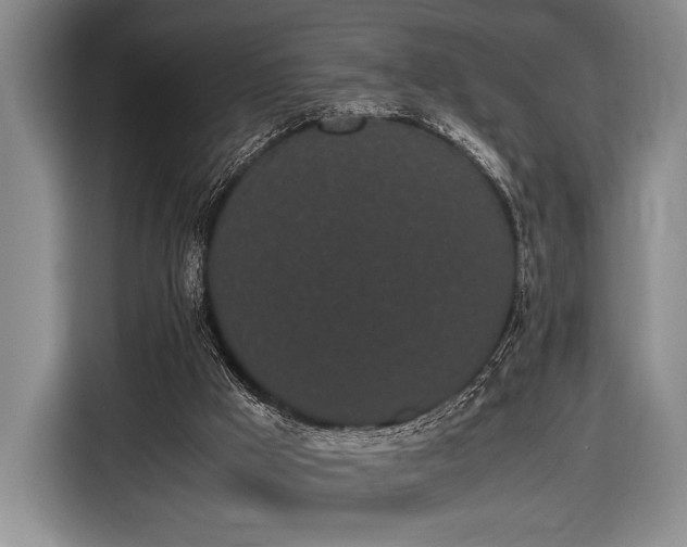X0000116600009200912181155