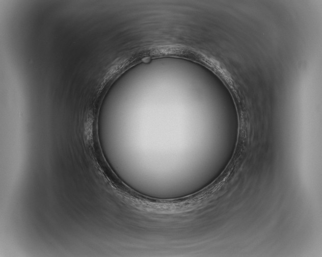 X0000116600010200912181155