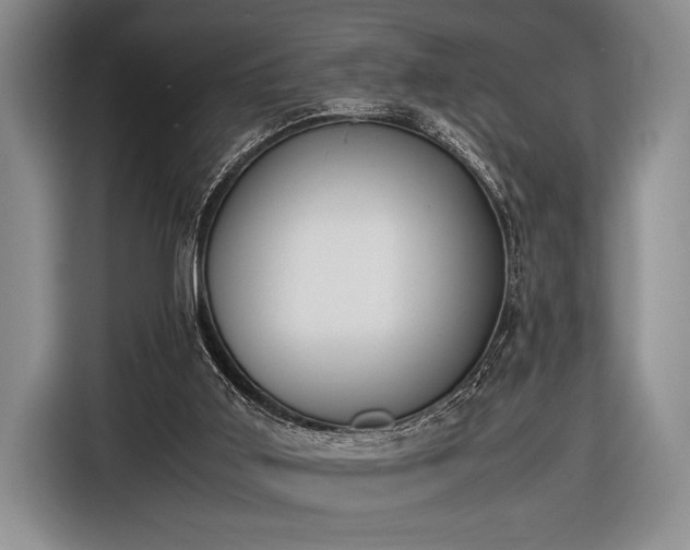 X0000116600011200912181155