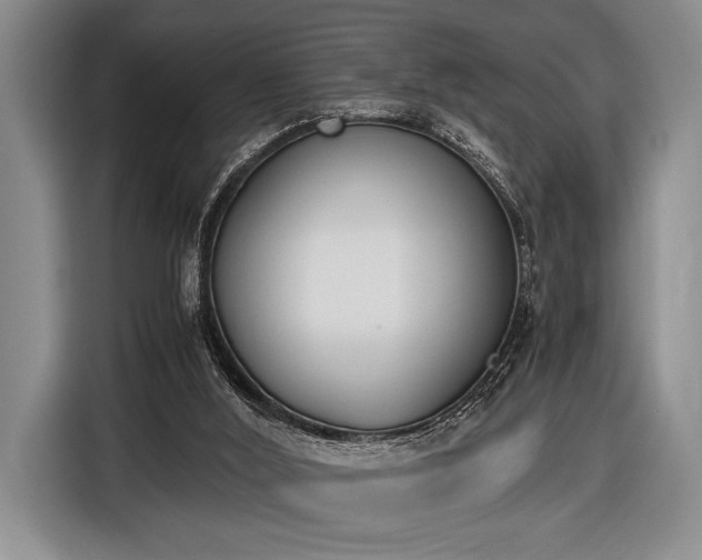 X0000116600012200912181155