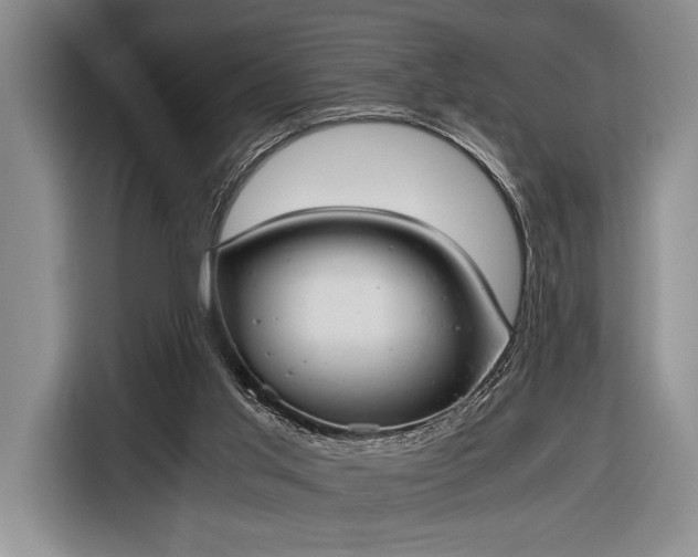 X0000116600013200912181155