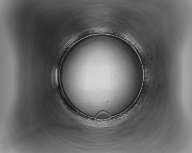 X0000116600014200912181155