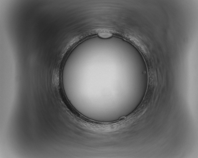 X0000116600015200912181155
