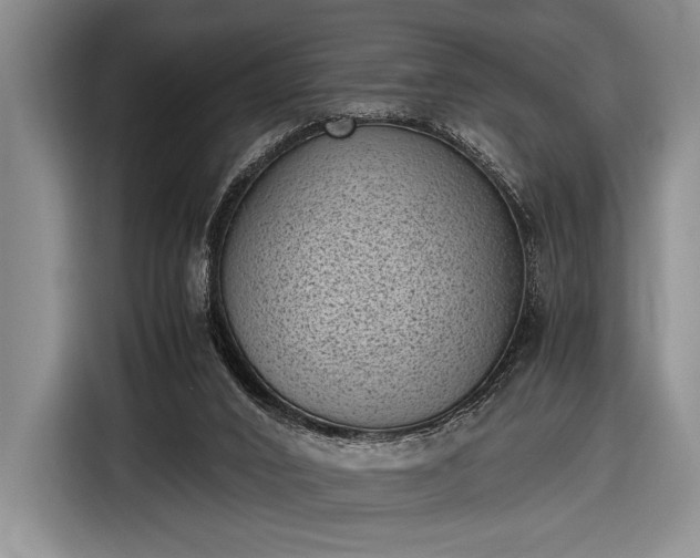 X0000116600016200912181155