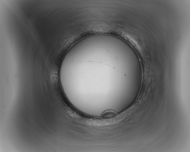 X0000116600017200912181155