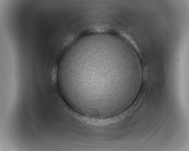 X0000116600018200912181155