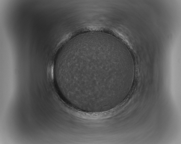 X0000116600019200912181155
