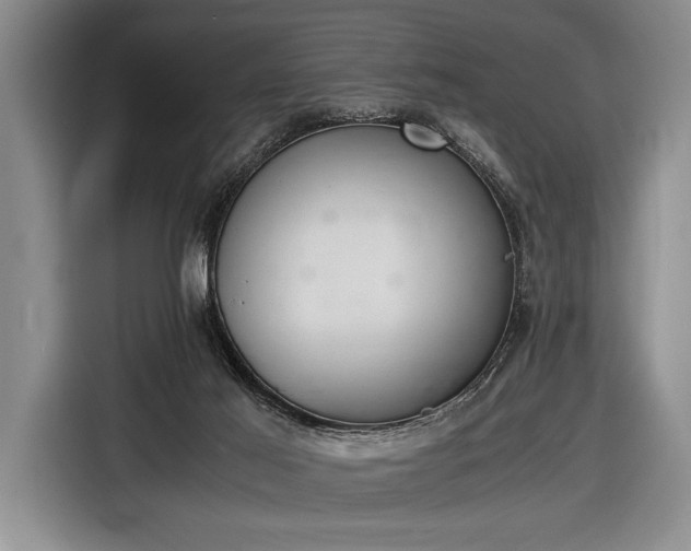 X0000116600021200912181155