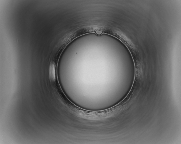 X0000116600022200912181155