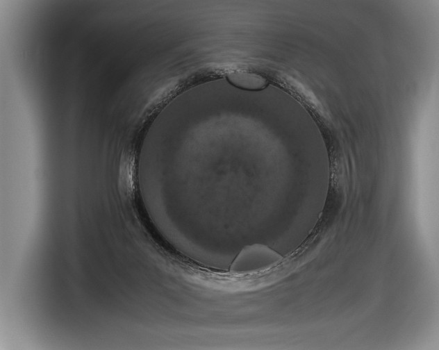 X0000116600023200912181155