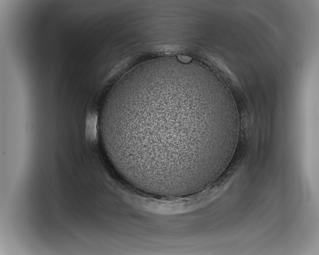 X0000116600024200912181155