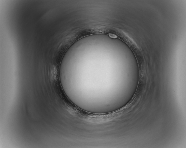 X0000116600025200912181155