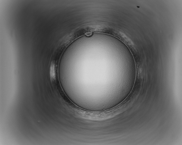 X0000116600026200912181155