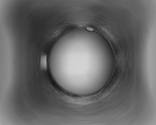 X0000116600028200912181155