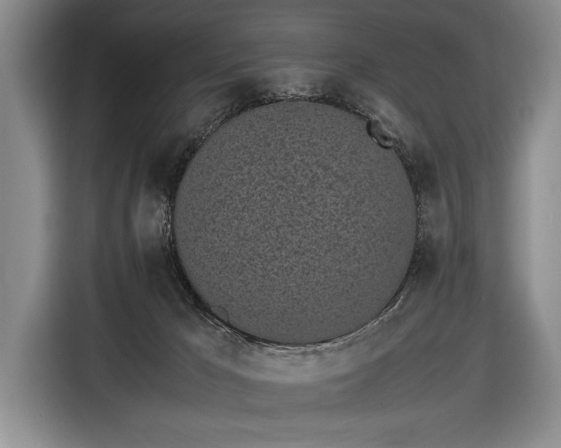 X0000116600029200912181155
