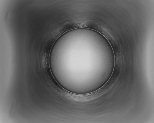 X0000116600030200912181155