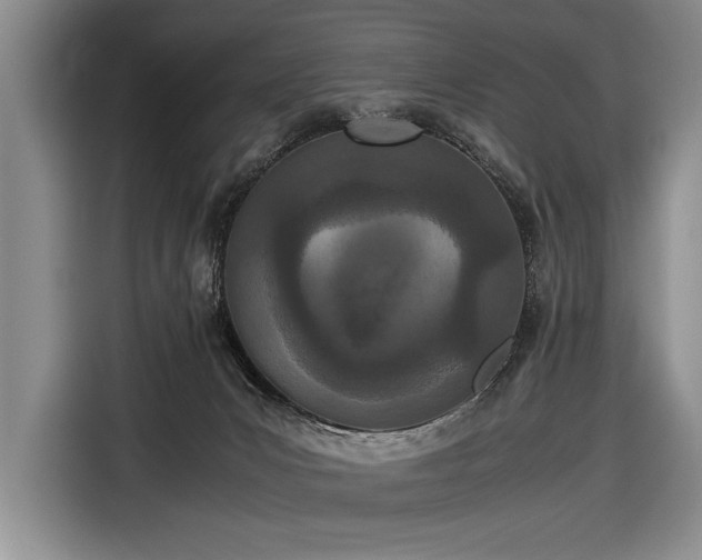 X0000116600031200912181155