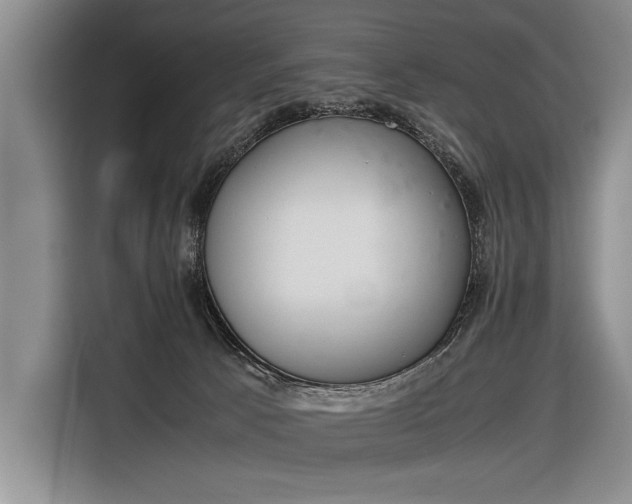 X0000116600033200912181155