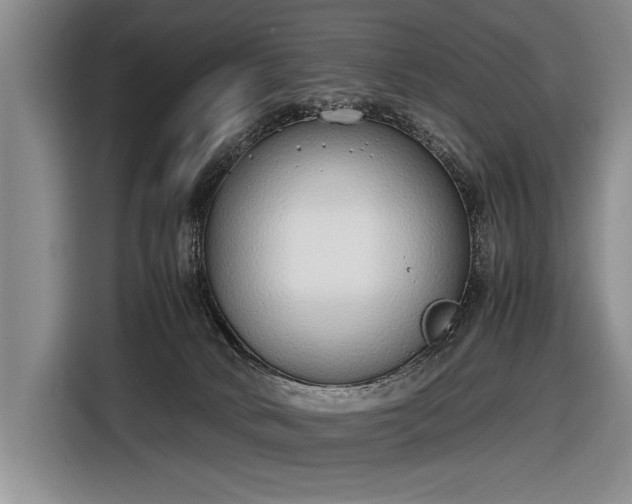 X0000116600034200912181155