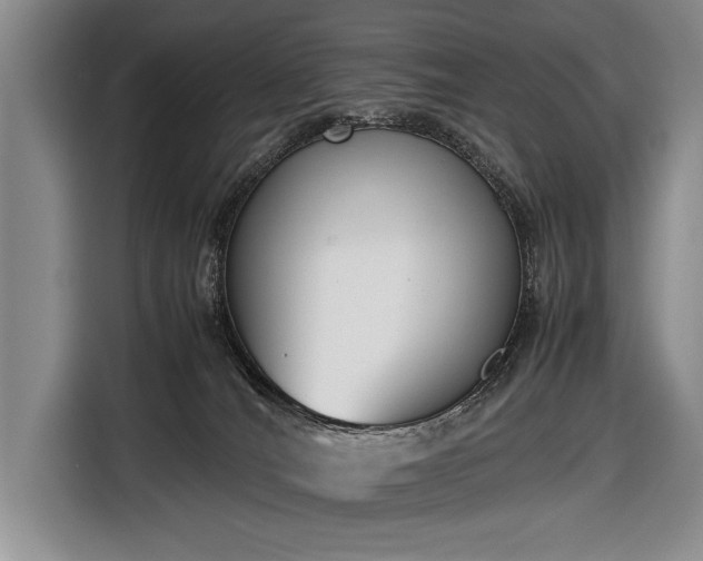 X0000116600036200912181155
