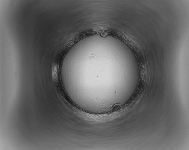 X0000116600038200912181155