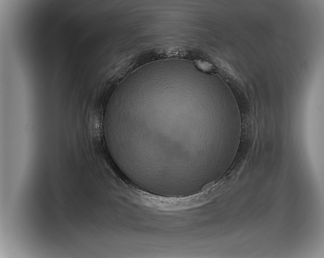 X0000116600039200912181155