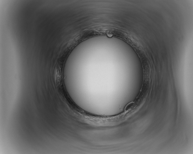 X0000116600040200912181155