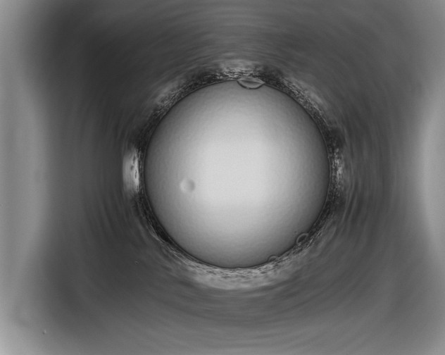 X0000116600042200912181155
