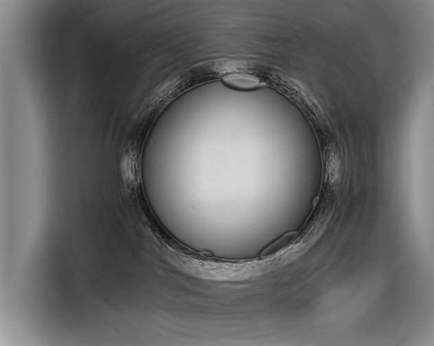 X0000116600044200912181155