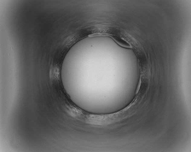 X0000116600045200912181155