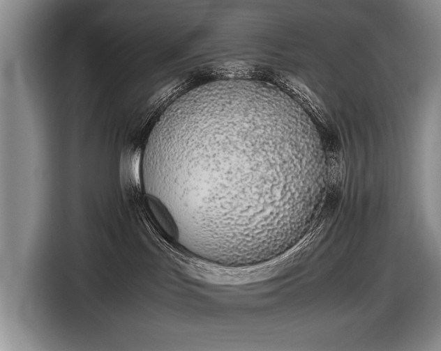 X0000116600047200912181155