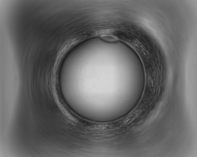 X0000116600049200912181154