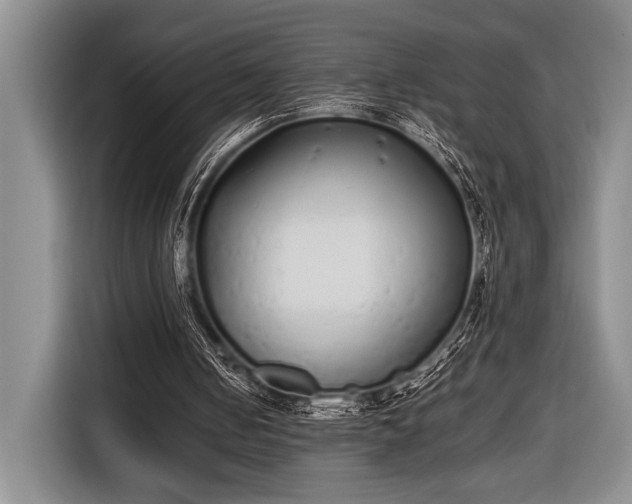 X0000116600050200912181154