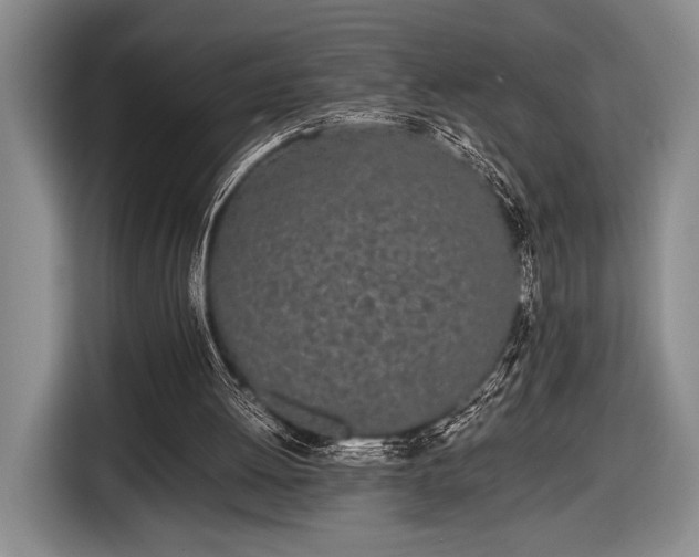 X0000116600052200912181154