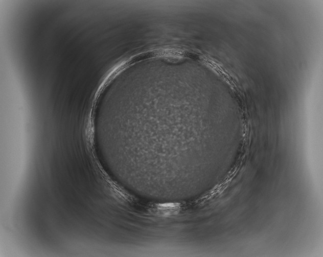 X0000116600053200912181154
