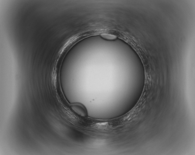 X0000116600054200912181154