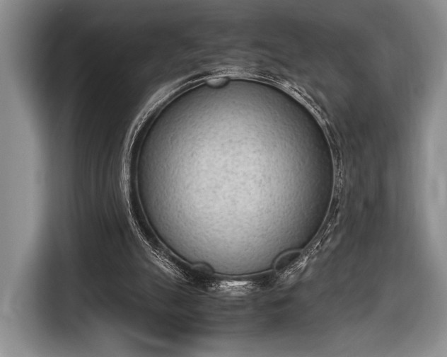 X0000116600055200912181154