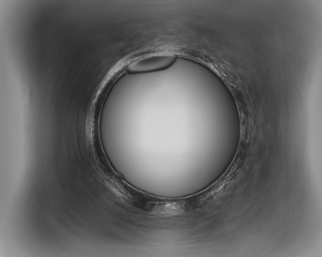 X0000116600056200912181154