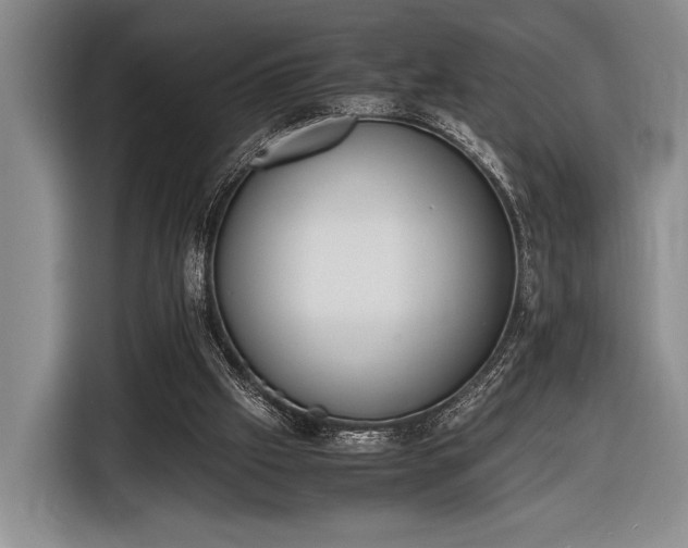 X0000116600057200912181154