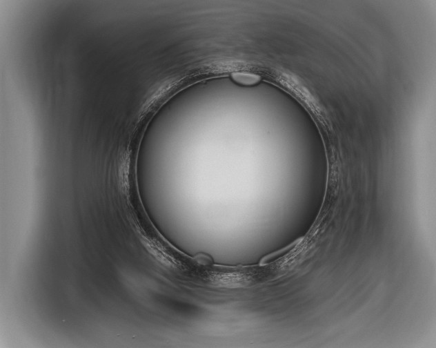 X0000116600058200912181154