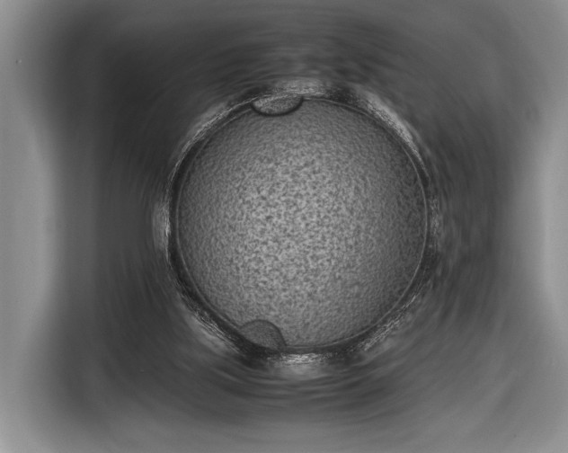 X0000116600059200912181154
