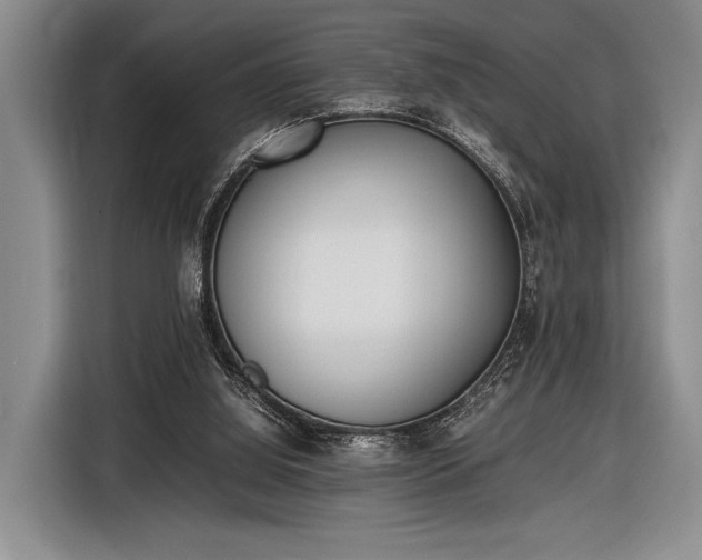 X0000116600060200912181154