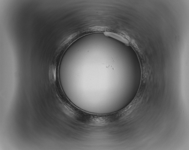 X0000116600062200912181154
